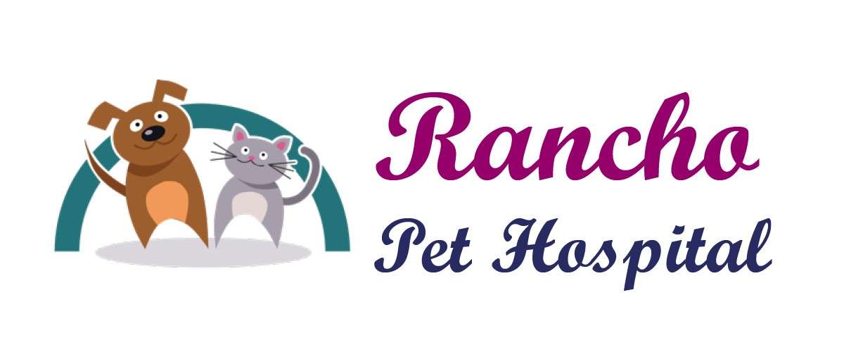 12Gold - Rancho Pet